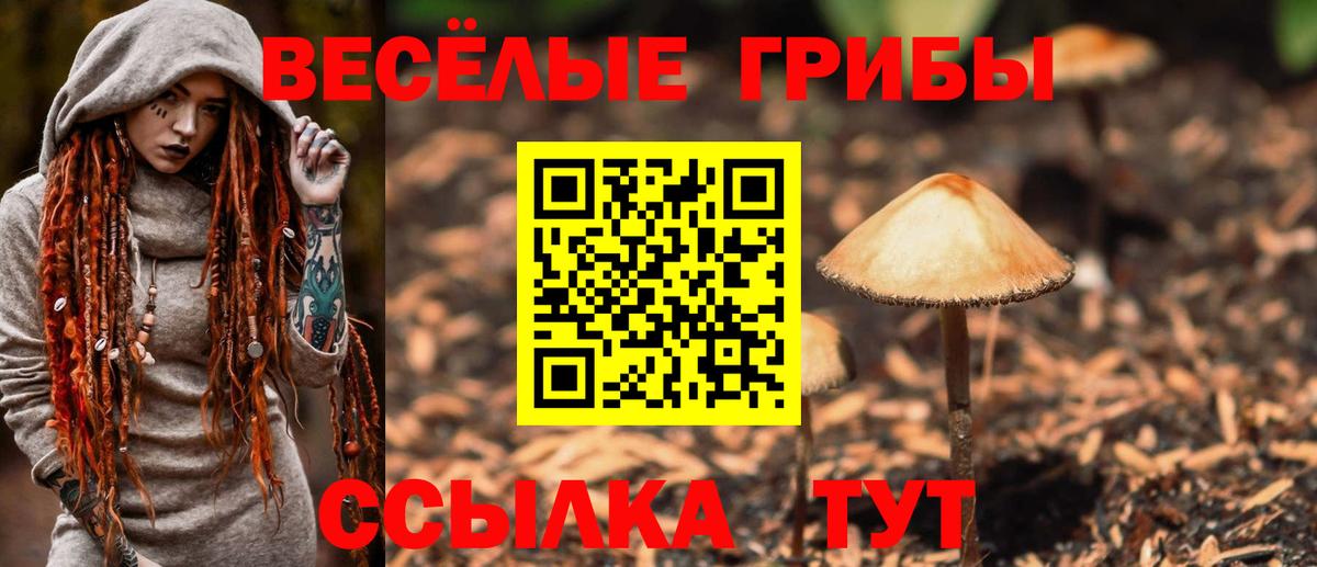 Псилоцибиновые грибы Cubensis  Галлюциногенные грибы Psilocybe  Корсаков  Вход с VPN 