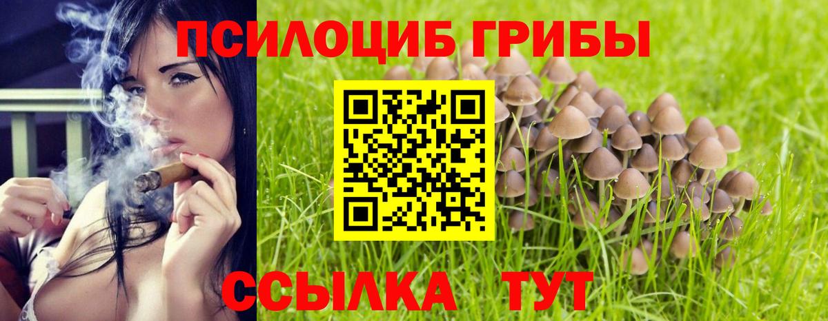 Галлюциногенные грибы прущие грибы Корсаков